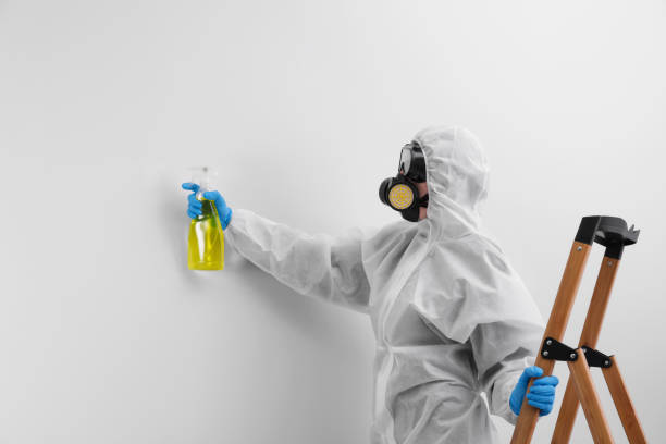 Why You Should Choose Our Mold Remediation Services in North Manchester, IN